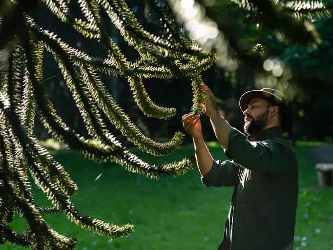 Arboretum forest ranger Kevin Knevels