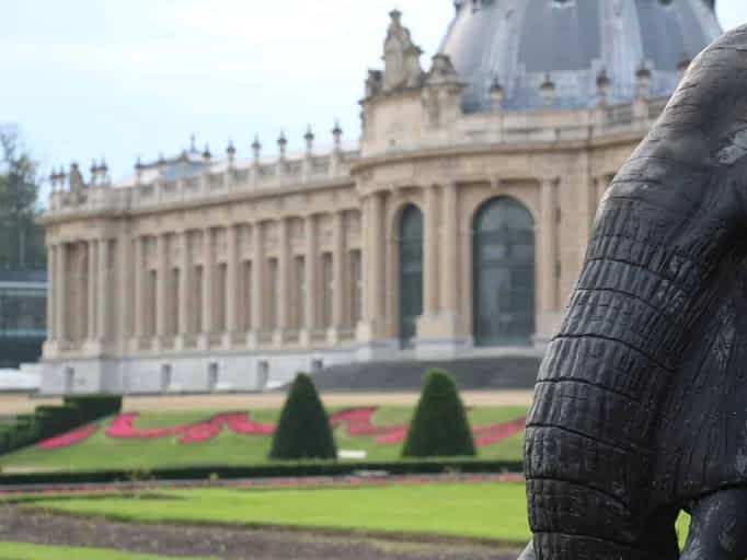 Elephant with view of the Afrikamuseum