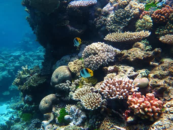 Great Barrier Reef
