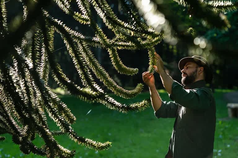 Arboretum forest ranger Kevin Knevels