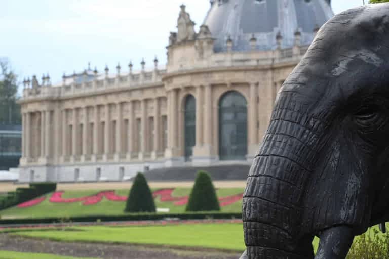 Elephant with view of the Afrikamuseum