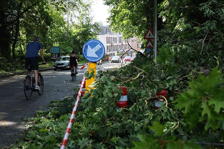 Broken tree branches block part of a road at the entrance to Tervuren after an overnight storm, as cyclists and motorists navigate past the debris. ©Tervuren+