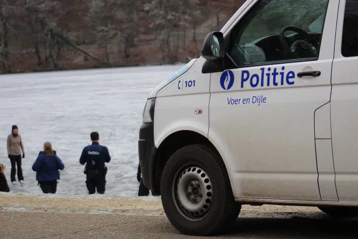 Bevroren vijver in Tervuren