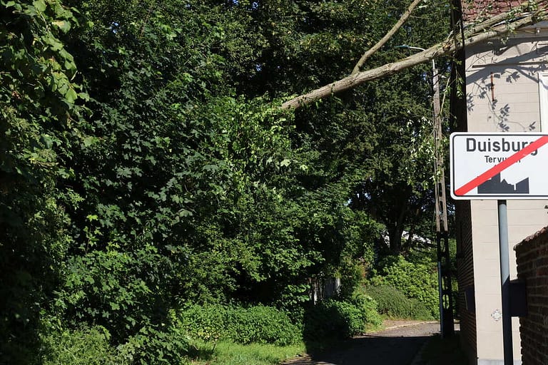Un arbre déraciné repose contre une maison et bloque une route à Duisburg (Tervuren) après la tempête.